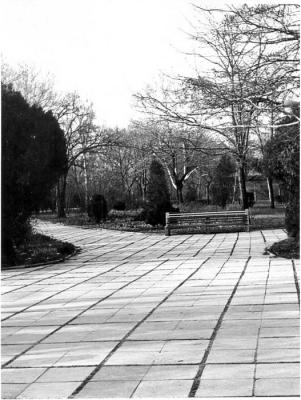 Прикрепленное изображение: парк.jpg